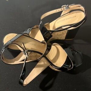 {Antonio Milani} Black Wedges